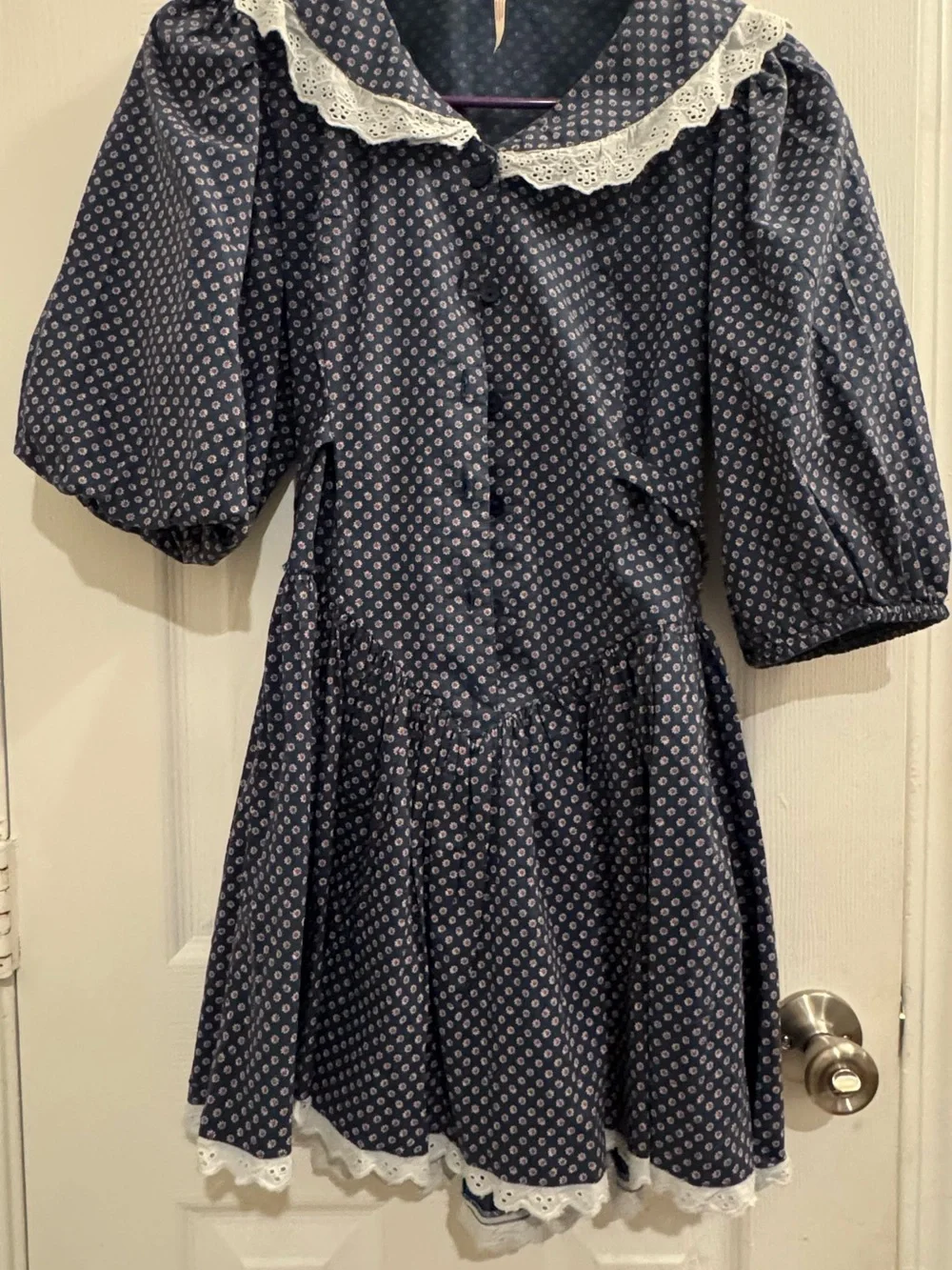 Free People Blue Floral Lace Trim Fit & Flare Short Dress Peter Pan Collar 2